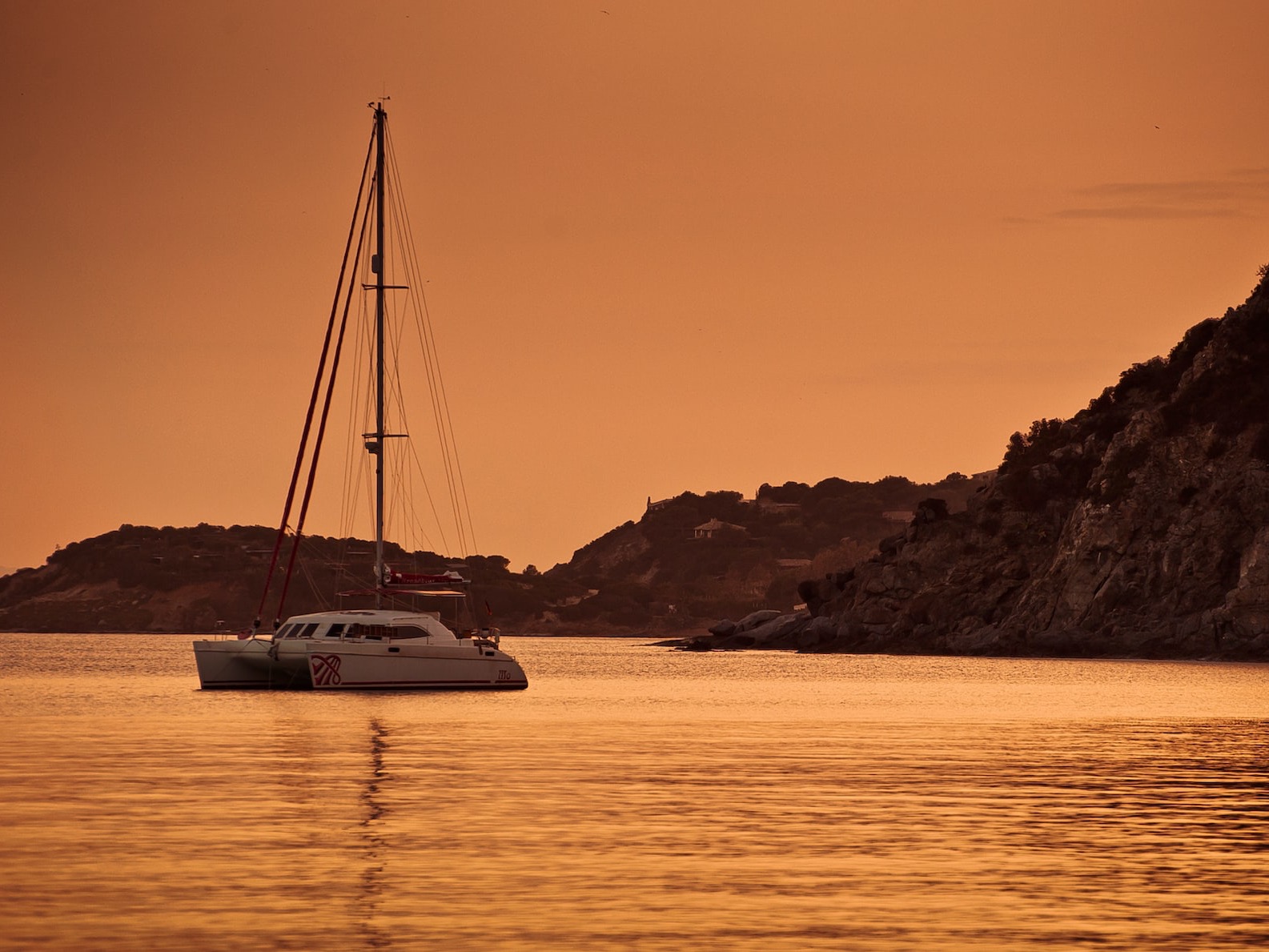 white catamaran sailing during sunset
